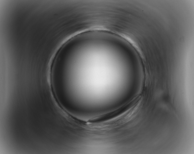 X0000088701342200706141423