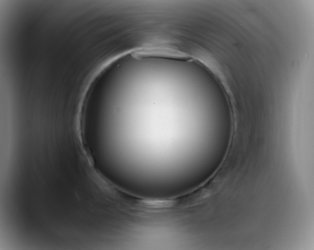 X0000088701344200706141423