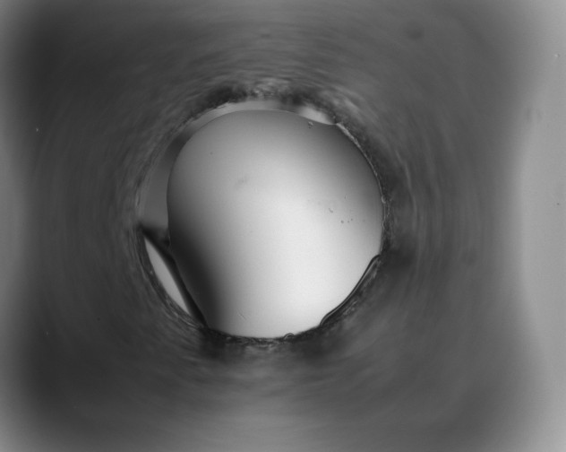 X0000088701345200706141423