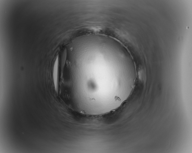 X0000088701347200706141423