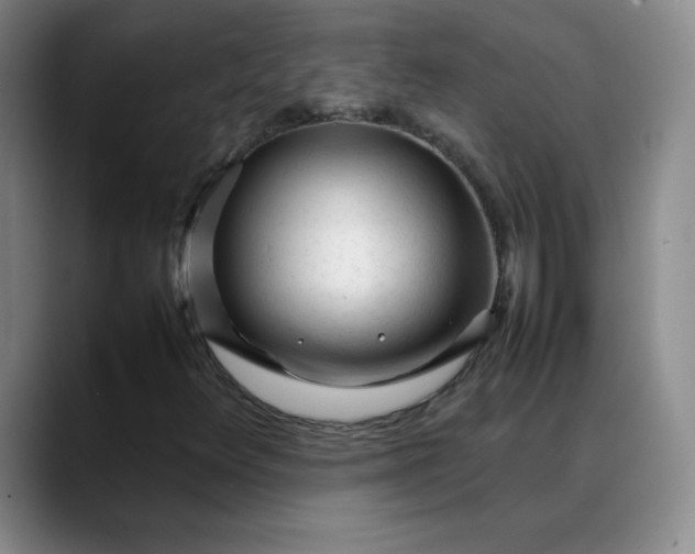 X0000088701348200706141423