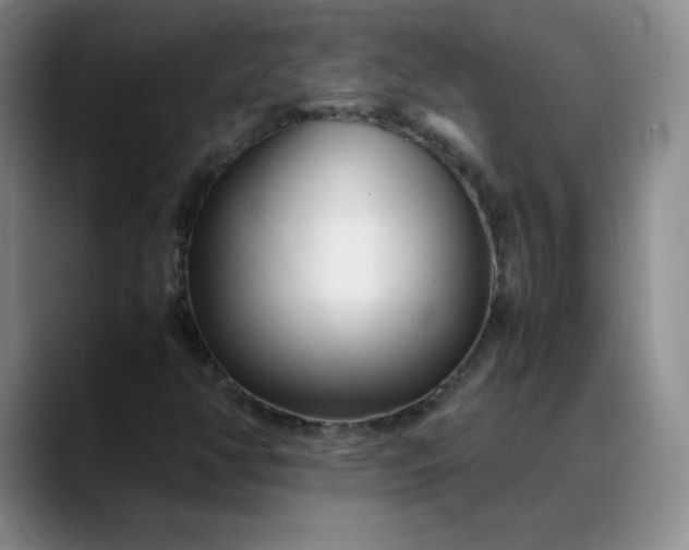 X0000088701350200706141423