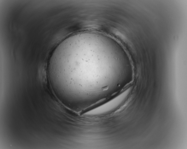X0000088701354200706141423