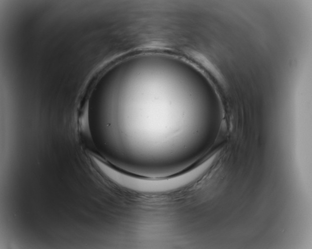 X0000088701356200706141423