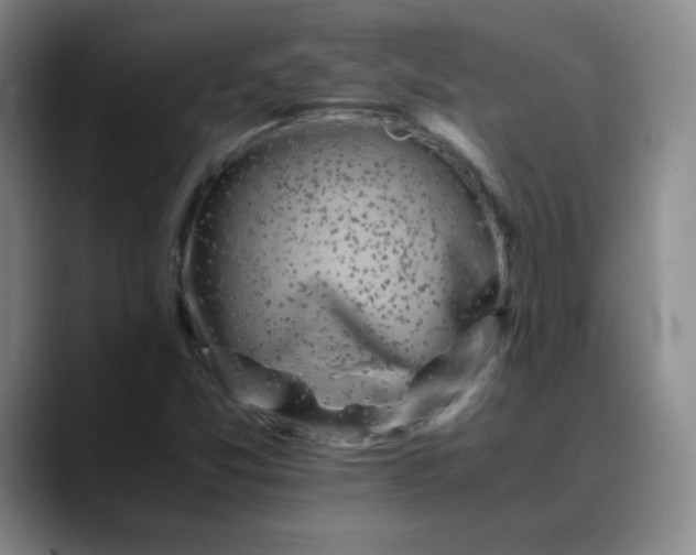 X0000088701357200706141423