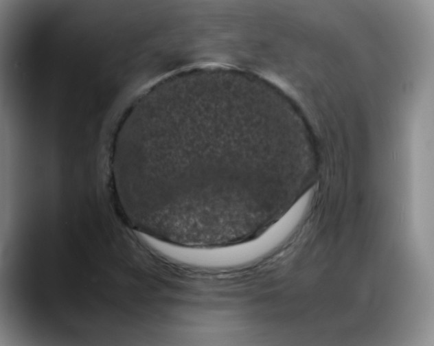 X0000088701359200706141423