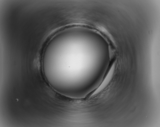 X0000088701360200706141423