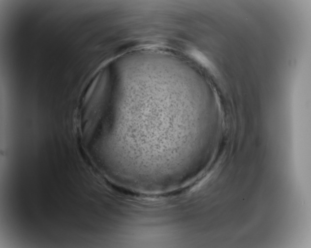 X0000088701361200706141422