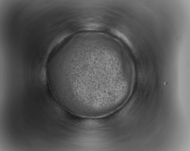 X0000088701362200706141422