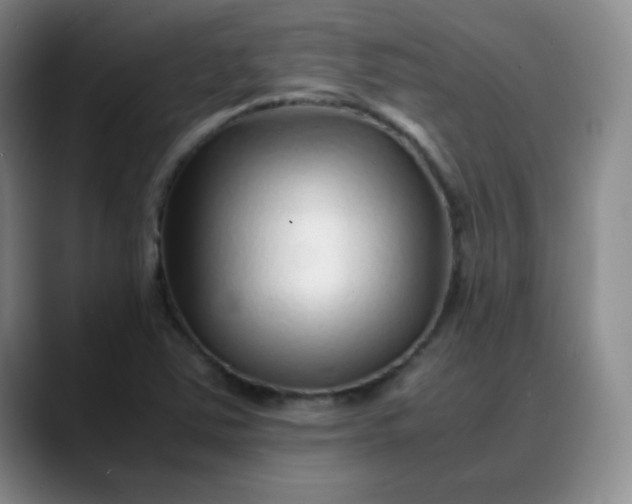X0000088701363200706141422