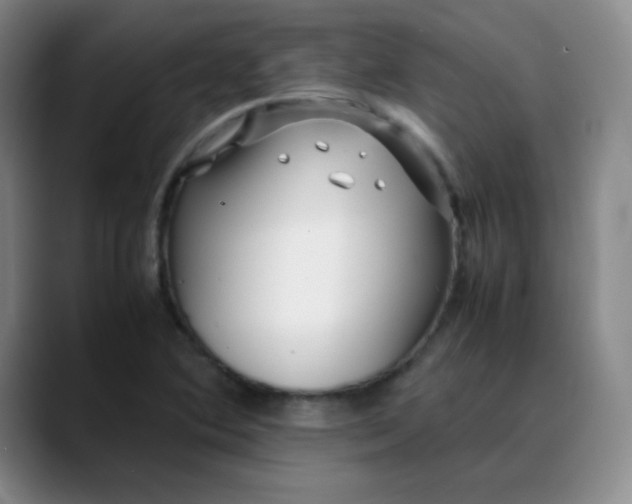 X0000088701364200706141422