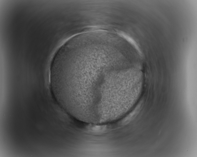 X0000088701365200706141422