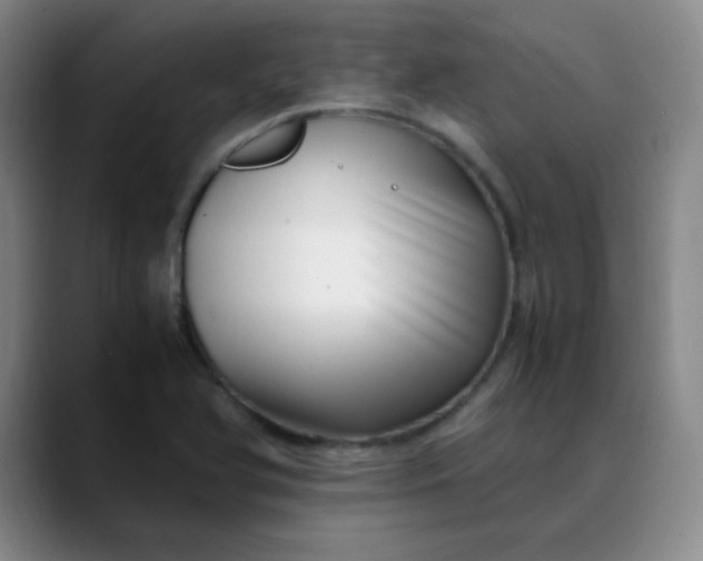 X0000088701366200706141422