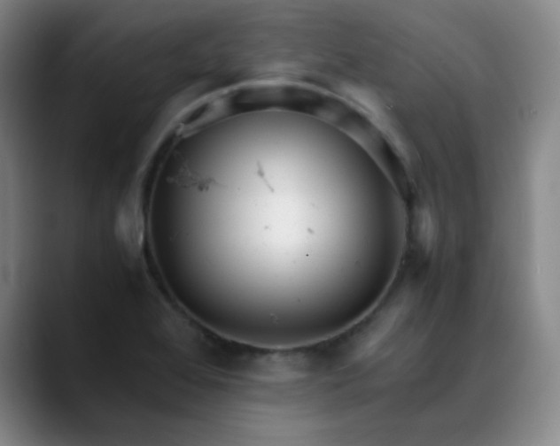 X0000088701368200706141422