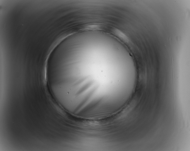 X0000088701370200706141422