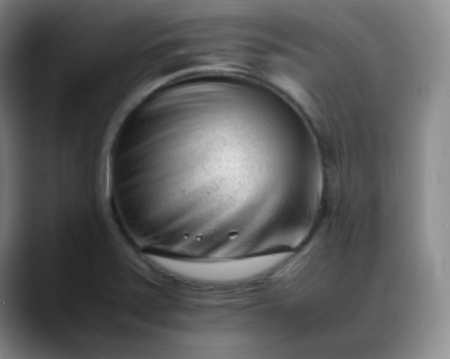 X0000088701371200706141422