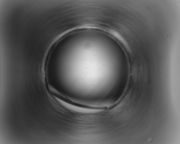 X0000088701372200706141422