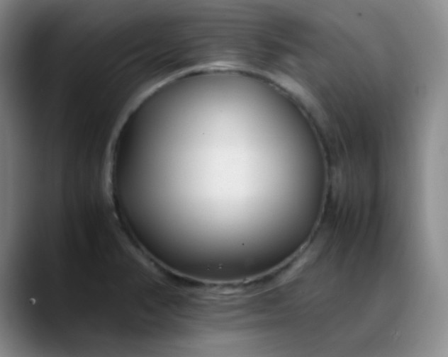 X0000088701374200706141422