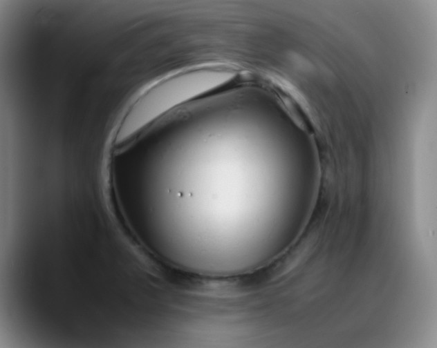 X0000088701375200706141422