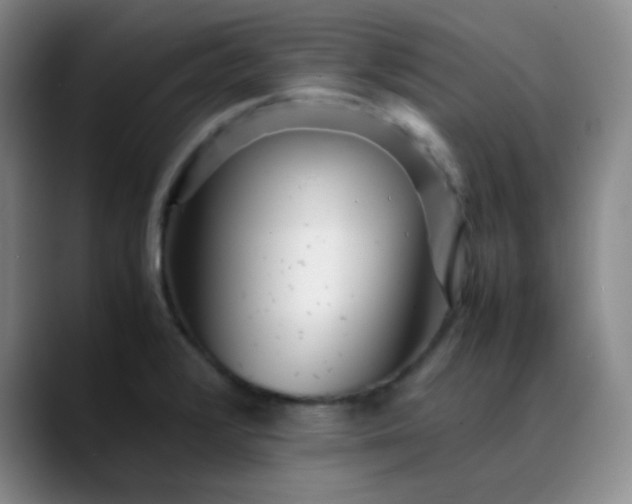 X0000088701376200706141422