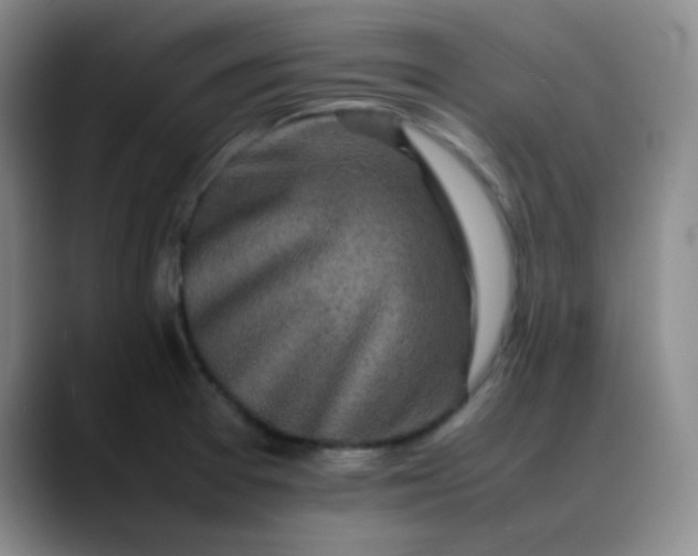 X0000088701377200706141422