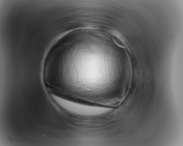 X0000088701379200706141422