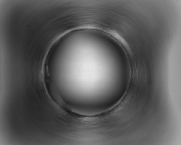 X0000088701380200706141422