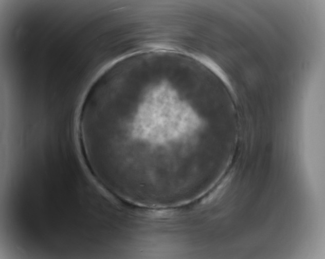X0000088701381200706141422
