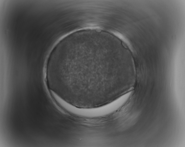 X0000088701383200706141422