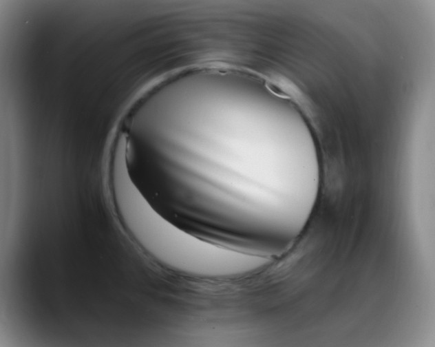 X0000088701384200706141422