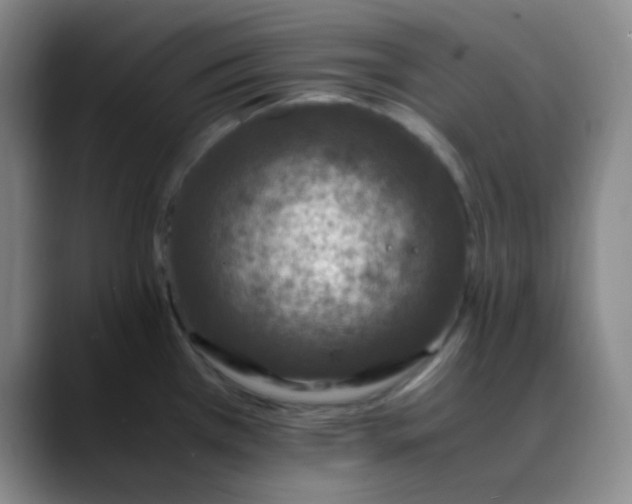 X0000088701385200706141422