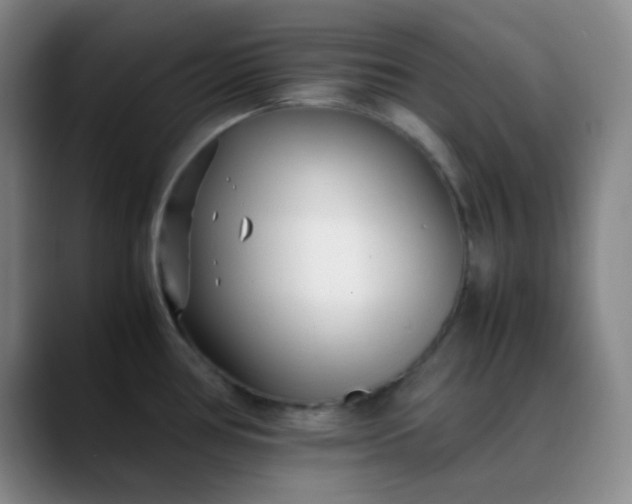 X0000088701386200706141422