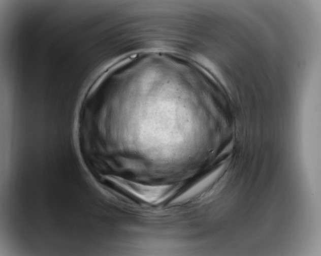 X0000088701387200706141422