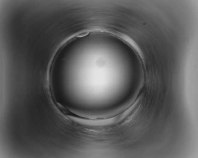 X0000088701388200706141422
