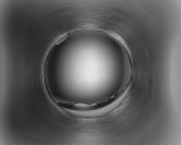 X0000088701389200706141422