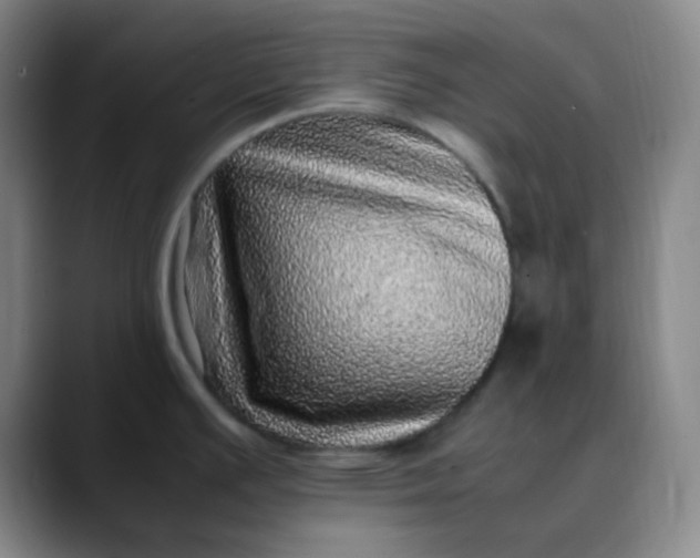 X0000088701391200706141422