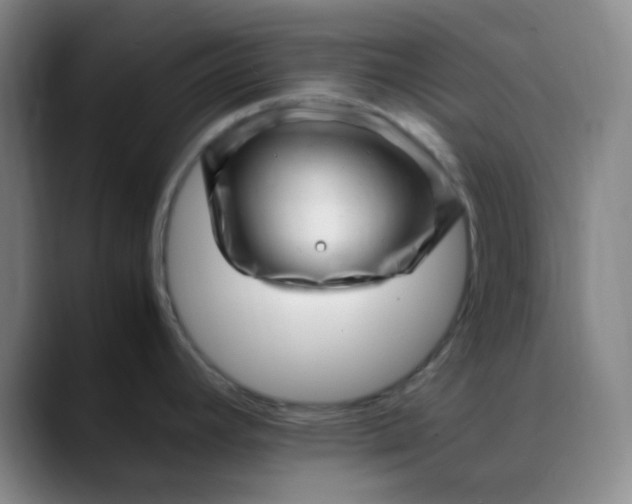 X0000088701392200706141422