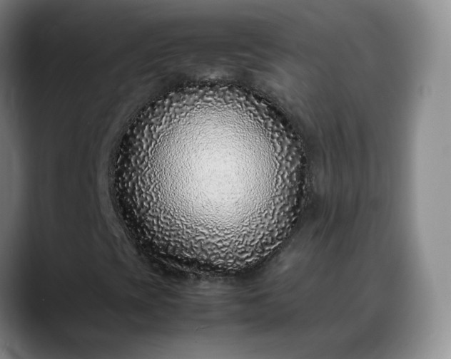 X0000088701393200706141422