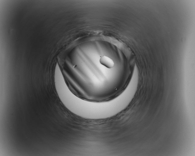X0000088701394200706141422