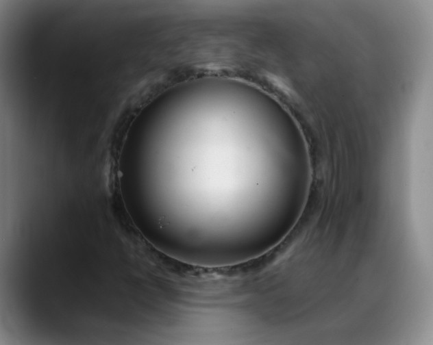 X0000088701398200706141422