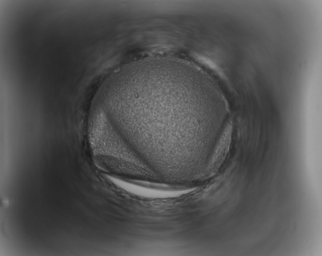 X0000088701399200706141422