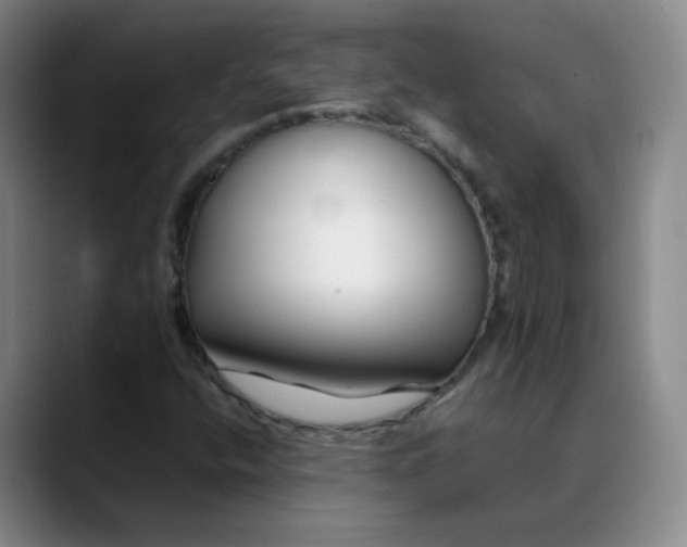 X0000088701400200706141422
