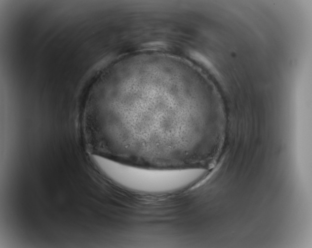 X0000088701403200706141422