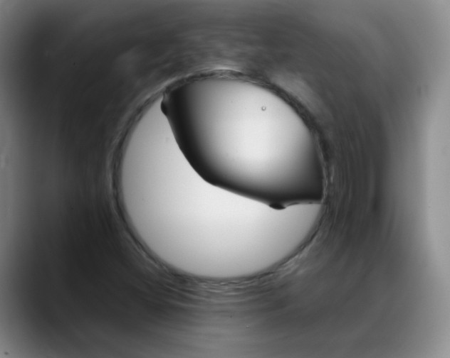 X0000088701404200706141422