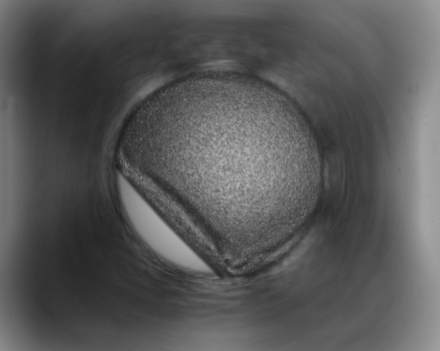 X0000088701405200706141422