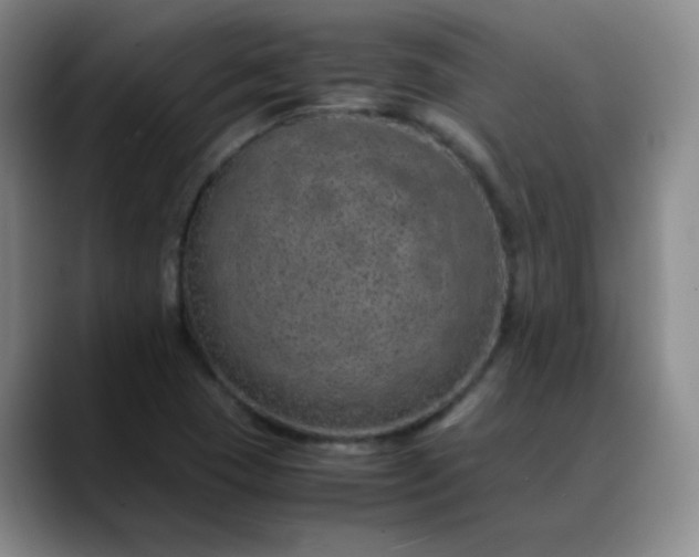 X0000088701409200706141422