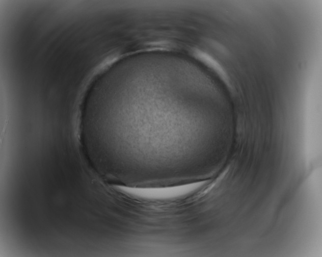X0000088701411200706141422