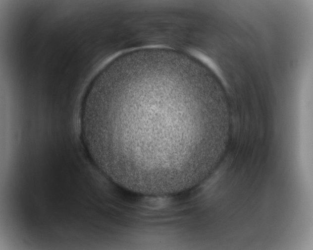 X0000088701415200706141422