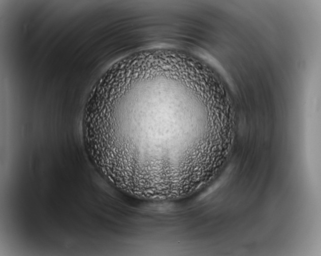 X0000088701417200706141422