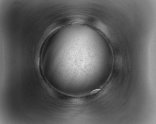 X0000088701418200706141422